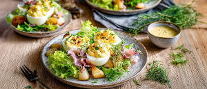 Gef&uuml;llte Eier auf Kr&auml;utersalat