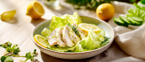 Zitronenhuhn auf Kopfsalat mit Kr&auml;uterdressing