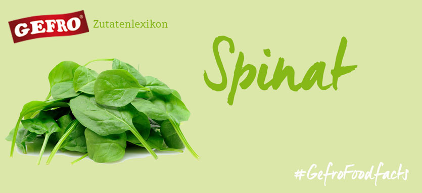 Spinat